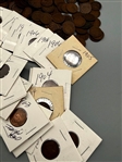 Group of (287) Indian Head Pennies