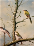 Oil on Canvas Songbirds in Tree Signed Sonje