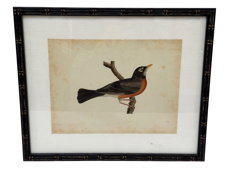 Hand Painted Robin Bird on Paper 