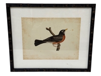 Hand Painted Robin Bird on Paper 