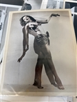 (65) 8x10 Pinup Photographs, and Arcade Exhibit Cards