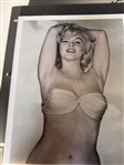 (65) 8x10 Pinup Photographs, and Arcade Exhibit Cards