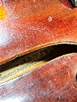 Milano Student Violin with (2) Bows and Case