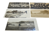 (25) Real Photo Postcards Portrait, Families Violinist, Others