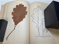 The Leaf Collectors Handbook by Charles Newhall 1902 With 100 Year+ Leaves