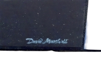David Marsh Black Swan Wall Mirror