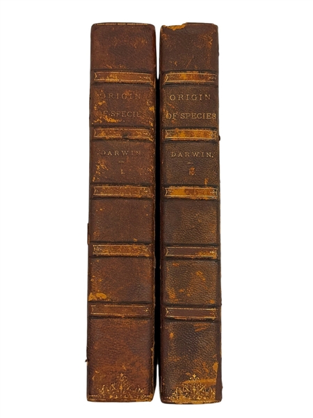Charles Darwin "Origin of the Species" 1888 Sixth Edition 2 Volume 3/4 Leather