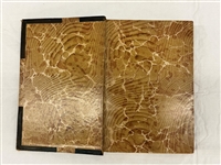 Charles Darwin Origin of the Species 1888 Sixth Edition 2 Volume 3/4 Leather