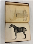 Richard Lawrence An Inquiry into the Structure and Animal Oeconomy of the Horse 1801 First Edition 