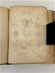 The Paston Letters A.D. 1787 With Beautiful Hand Colored Illustrations