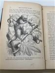 The Evolution of Man Volume II by Ernst Haeckel 1879 Personal Copy of Colonel John Hay