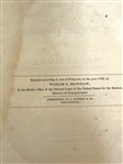 (4) Civil War Books: Shiloh, Volunteer Soldier, Secession, Rebellion