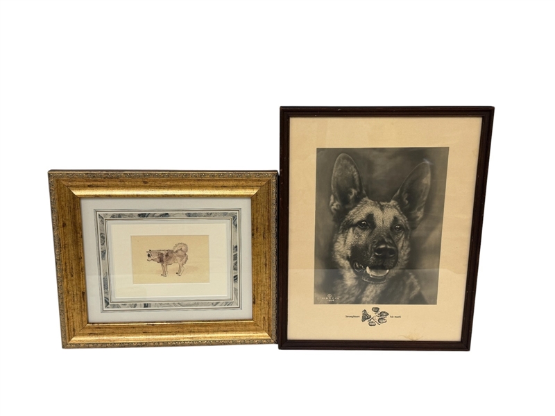 "Strongheart" German Shepherd 1924 Photograph, Pen and Ink Drawing Husky