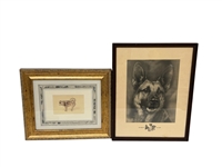 "Strongheart" German Shepherd 1924 Photograph, Pen and Ink Drawing Husky