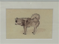 Strongheart German Shepherd 1924 Photograph, Pen and Ink Drawing Husky