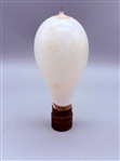 Swan Incandescent Light Bulb with Brass Screw Base