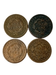 (14) Large Braided Hair Cents 1830-1854