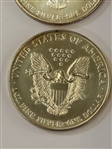 (4) BU American Eagles; 1994, 1995, 1999, 2001