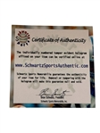 Sugar Ray Leonard Title Gold Autographed Boxing Glove Schwartz Sports Authority COA
