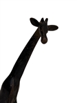 Pair of Bronze Figural Giraffes on Triangular Marble Plinths