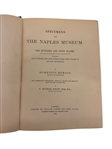 Specimens From the Naples Museum 1884 with 160 Engraving Plates